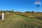 Działka budowlana 4180m2, Benenard, gm. Radziejowice - 8