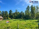 *Działka letniskowa*WZ*Grabniak*Urszulin*3002m2*