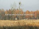 Działka rolna Skierniewice Borowiny - 1