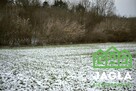 Działka budowlana Gruczno gm. Świecie - 5