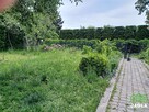 Działka rekreacyjna Jagodowo gm. Osielsko - 4
