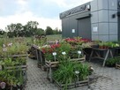 Lokal użytkowy Miłoszyce gm. Jelcz-Laskowice, Przy Lesie - 11