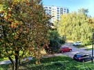 Urlop to strata twojego czasu - 14