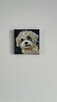 Obrazek 10x10 śliczny piesek rasy Shih tzu - 7