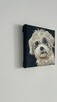 Obrazek 10x10 śliczny piesek rasy Shih tzu - 5