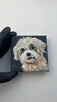 Obrazek 10x10 śliczny piesek rasy Shih tzu - 2