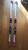 Narty męskie Dynastar Omeglass 165 cm - 7