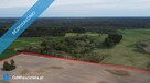 11 ha w jednym kawałku | foremna działka | 8 km od Lipna - 2