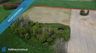 11 ha w jednym kawałku | foremna działka | 8 km od Lipna - 3