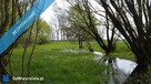 11 ha w jednym kawałku | foremna działka | 8 km od Lipna - 6