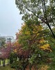 3 pok., Metro Natolin - 12