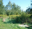 Wrocław, Radomierzyce, działka 777 m2 - 3