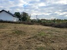 Karczowanie, koszenie, cięcie, mycie okien, sprzątanie, ukła - 4