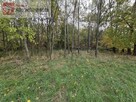 Działka rolno-budowlana Wielkie Drogi gm. Skawina - 3