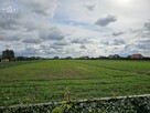 Działka budowlana Turowola-Kolonia gm. Puchaczów - 2