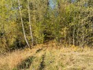 Las na sprzedaż Bukowina Tatrzańska - 14
