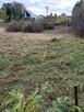 Karczowanie, koszenie, cięcie, mycie okien, sprzątanie, ukła - 10