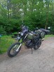 SWM six days 500 military green 2022 motocykl scrambler x445 - 3