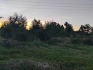 Karczowanie, koszenie, cięcie, mycie okien, sprzątanie, ukła - 11