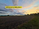 Działki rolne | 2.63 ha | Chełm Śląski | NJ INVESTMENT