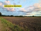 Działki rolne | 2.63 ha | Chełm Śląski | NJ INVESTMENT - 2