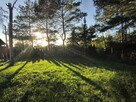 Uzbrojona, ogrodzona działka budowlana ~1500m², Szynkielew p - 4