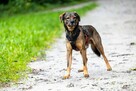 Delikatny Maksym szuka swoich ludzi! - 6