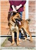 Lukas – wspaniały, energiczny przyjaciel na zawsze - 3