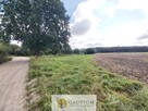 Działka rolna w Brudzewie - 7