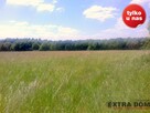 Działka Ostrzyca - 1