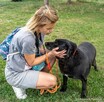 Joint-czarny piesek nadal czeka na dom-adoptuj - 9