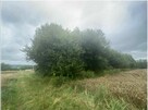Nieruchomość - Poręby - 4