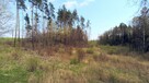 Działka Gołdap Juchnajcie - 7