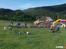 Podkówka oferta - 2