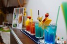 Barman na wesele Nowe Miasto nad Pilicą, barman na wesele - 2
