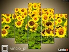 Obraz na prezent od 19 zł - Wiele wzorów - 4