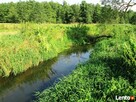 Piękna działka 5 hektarów nad rzeką Wilga