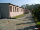 lokal do wynajęcia w Oświęcimiu - 1