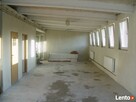 lokal do wynajęcia w Oświęcimiu - 2