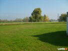 lokal do wynajęcia w Oświęcimiu - 3