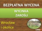 Obcięcie żywopłotu cennik tel 504-746-203 - 4