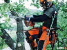 Usługi ogrodnicze ,pielęgnacja ogrodów - 2