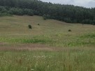 Grunt rolno-budowlany w Liskowatym gmina Ustrzyki Dolne - 2