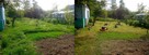 Wycinka, koszenie trawy, sprzątanie dzialek, usługi minikopa - 5