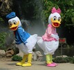 KACZOR DONALD DAISY Chodząca żywa duża maskotka kostium - 2