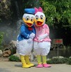 KACZOR DONALD DAISY Chodząca żywa duża maskotka kostium - 1