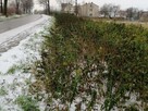 Działki budowlane - 3 min drogi od zjazdu z autostrady A4 - 6