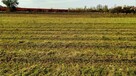 Atrakcyjna lokalizacja działka z możliwością podziału budowl - 6