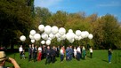 Balony Reklamowe na Balonach Wrocław Balony z nadrukiem Balo - 1