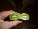 Kiwi Isai samopylne -aktinidia ostrolistna - grunt - 7